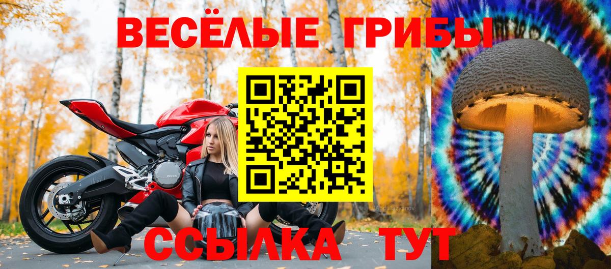 Галлюциногенные грибы мицелий Петропавловск-Камчатский