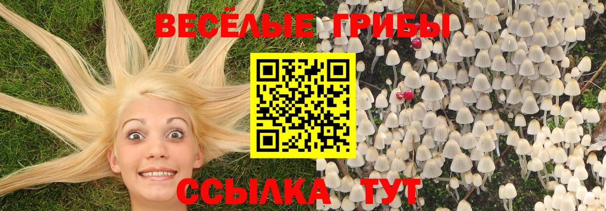 Петропавловск-Камчатский  Псилоцибиновые грибы Psilocybine cubensis  Вход с VPN 
